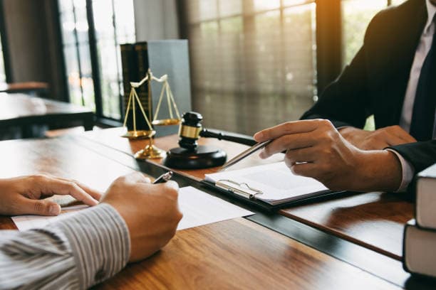 Documents juridiques étudiés avec l'appui d'une juriste de formation.